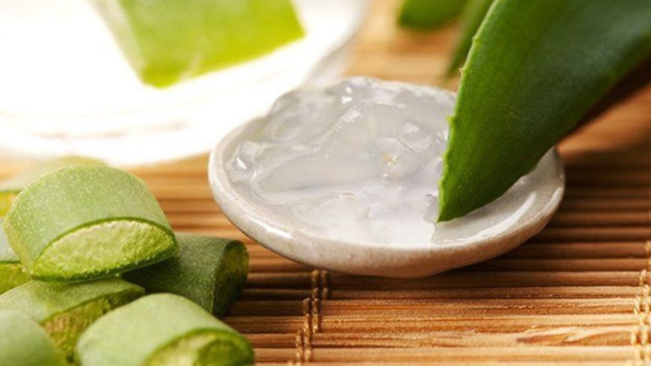 Aloe Vera Recipes for Skin